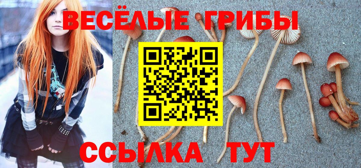 Псилоцибиновые грибы MAGIC MUSHROOMS Москва